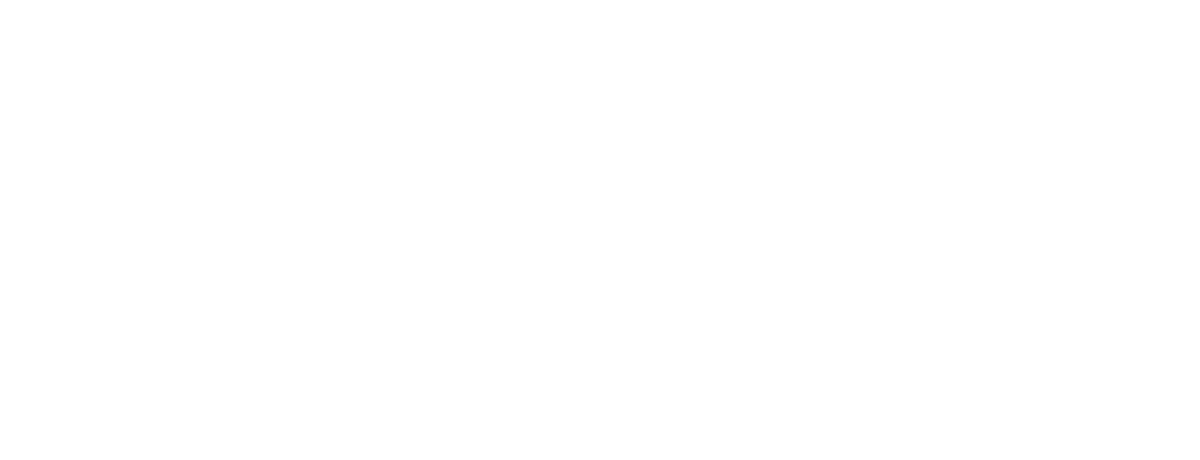 Professional Sports Industry